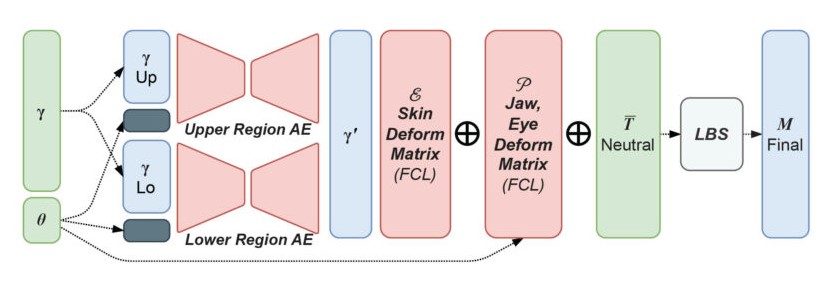 8 Autoenkoder (AE), w pełni połączona warstwa matrycy deformacji twarzy (FCL), linearny blend skinning (LBS) prowadzące do finalnego outpu